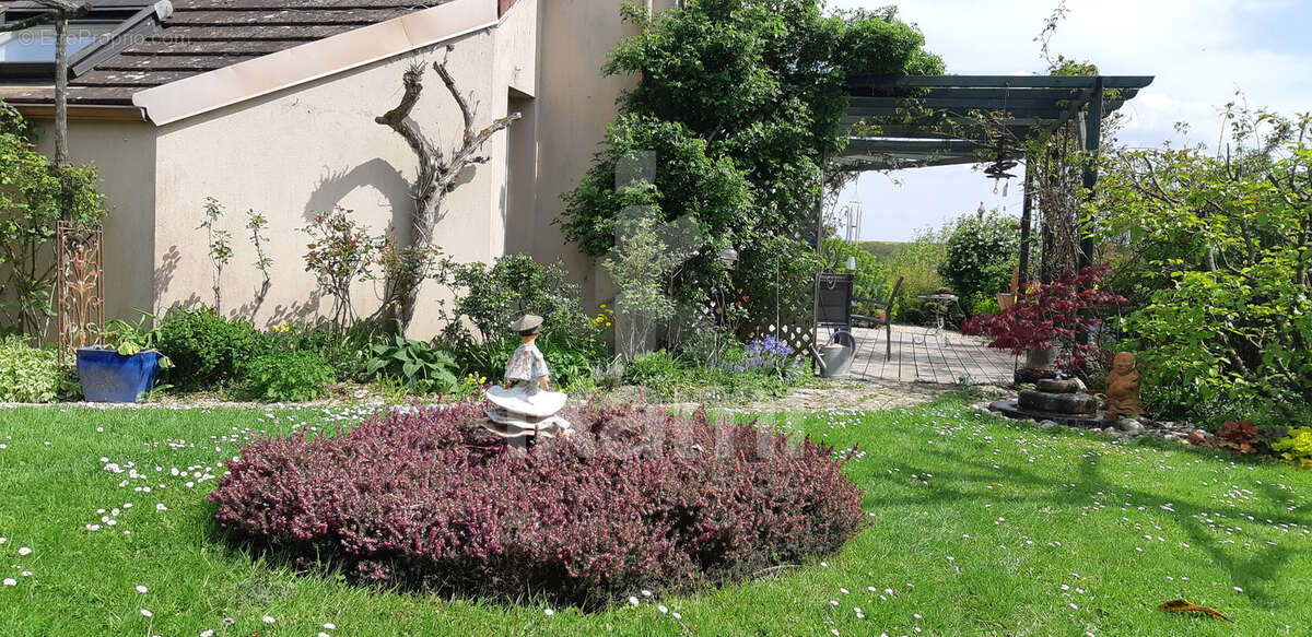 Maison à VILLEFARGEAU