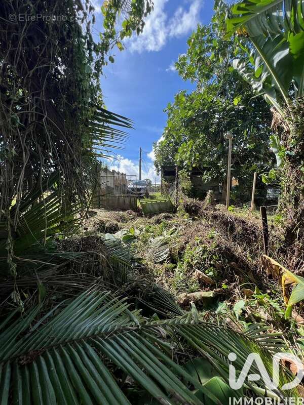 Photo 5 - Terrain à BAIE-MAHAULT