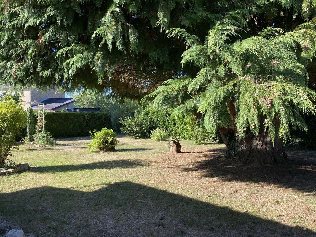 Maison 6 pièces 118 m² à vendre à Chateauneuf-La-Foret (87130) - photo 4