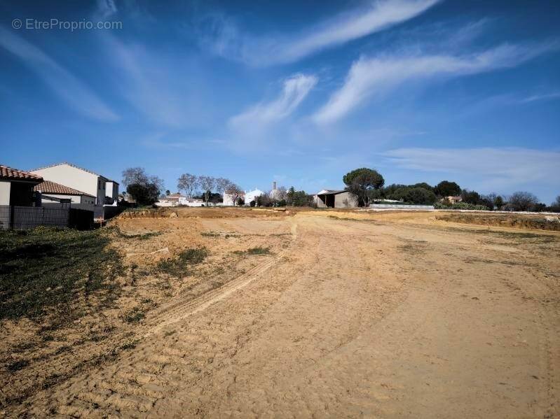Terrain à ESPONDEILHAN