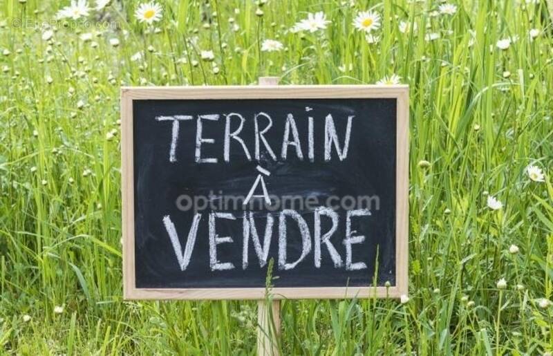 Terrain à WARGNIES-LE-GRAND