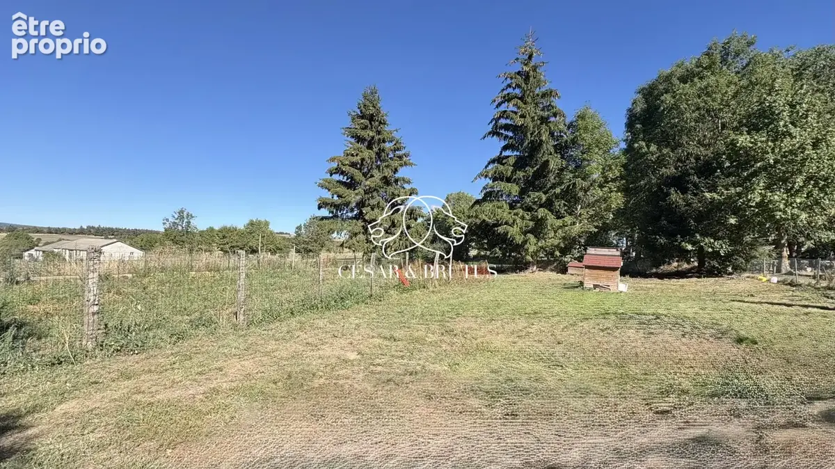 Terrain 775 m² à vendre à Moudeyres (43150) - photo 3