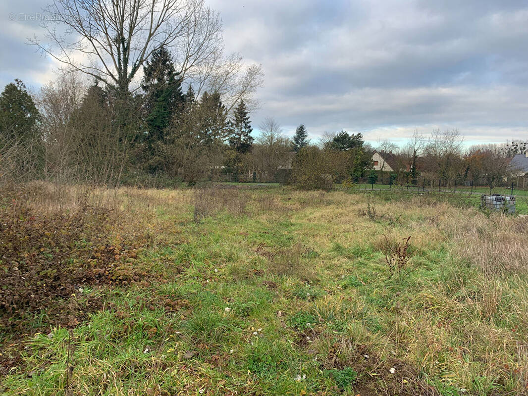 Terrain à SAINT-SAUVEUR
