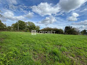 Terrain à SAINT-VIT