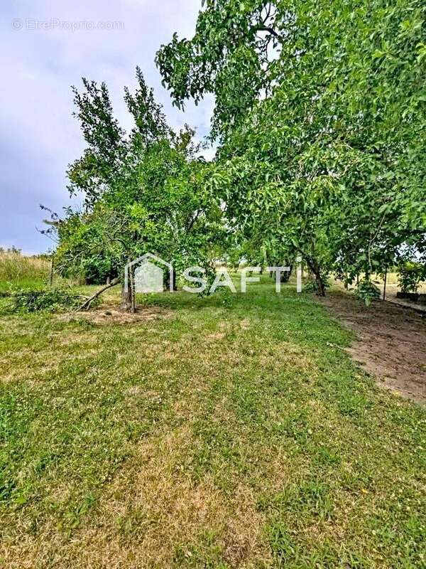 Photo 3 - Maison à TRAVECY