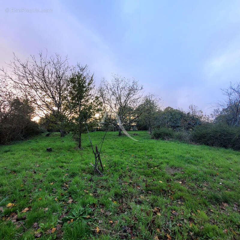 Terrain à NIEUL-LE-DOLENT