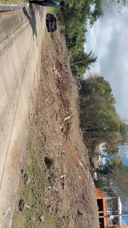 Terrain à RIVIERE-SALEE