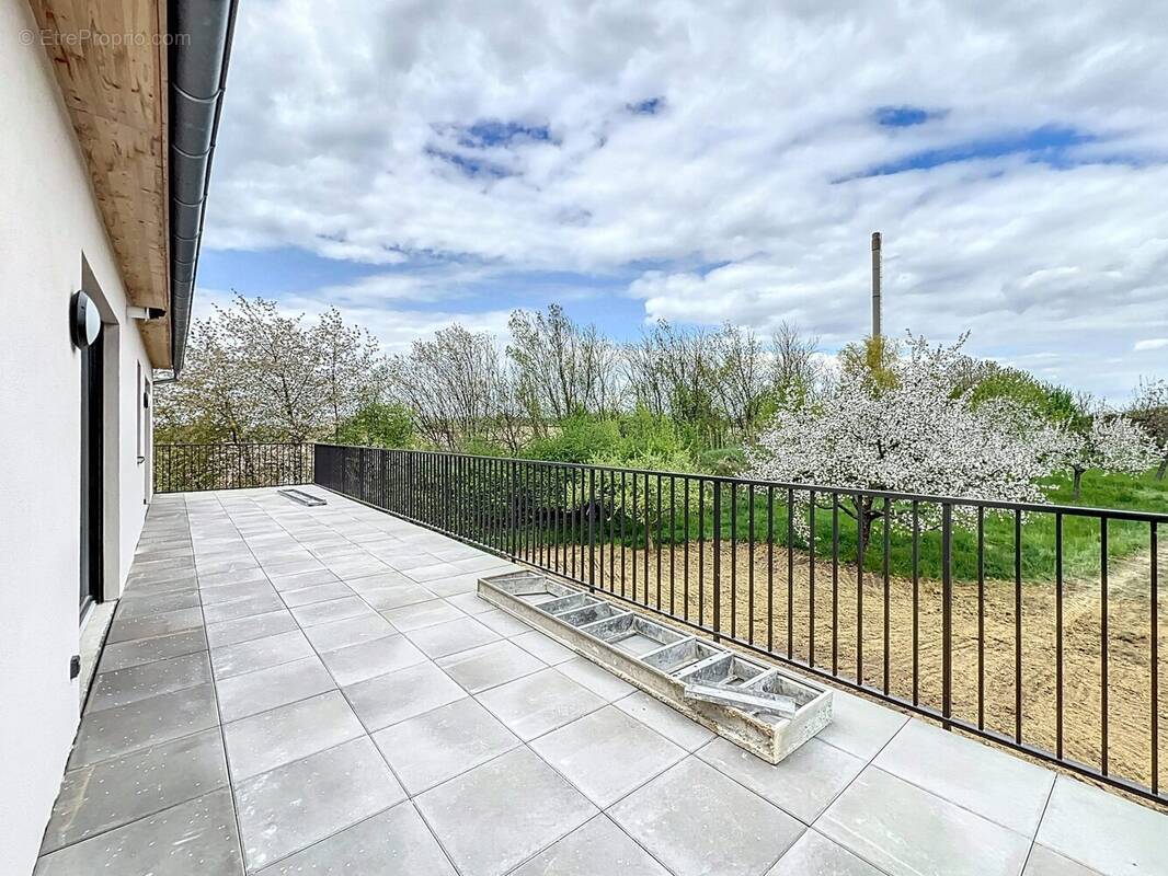 Appartement à BETSCHDORF