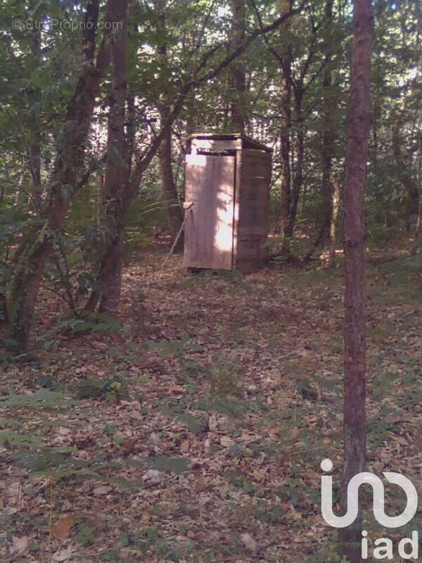 Photo 7 - Terrain à BAUGE