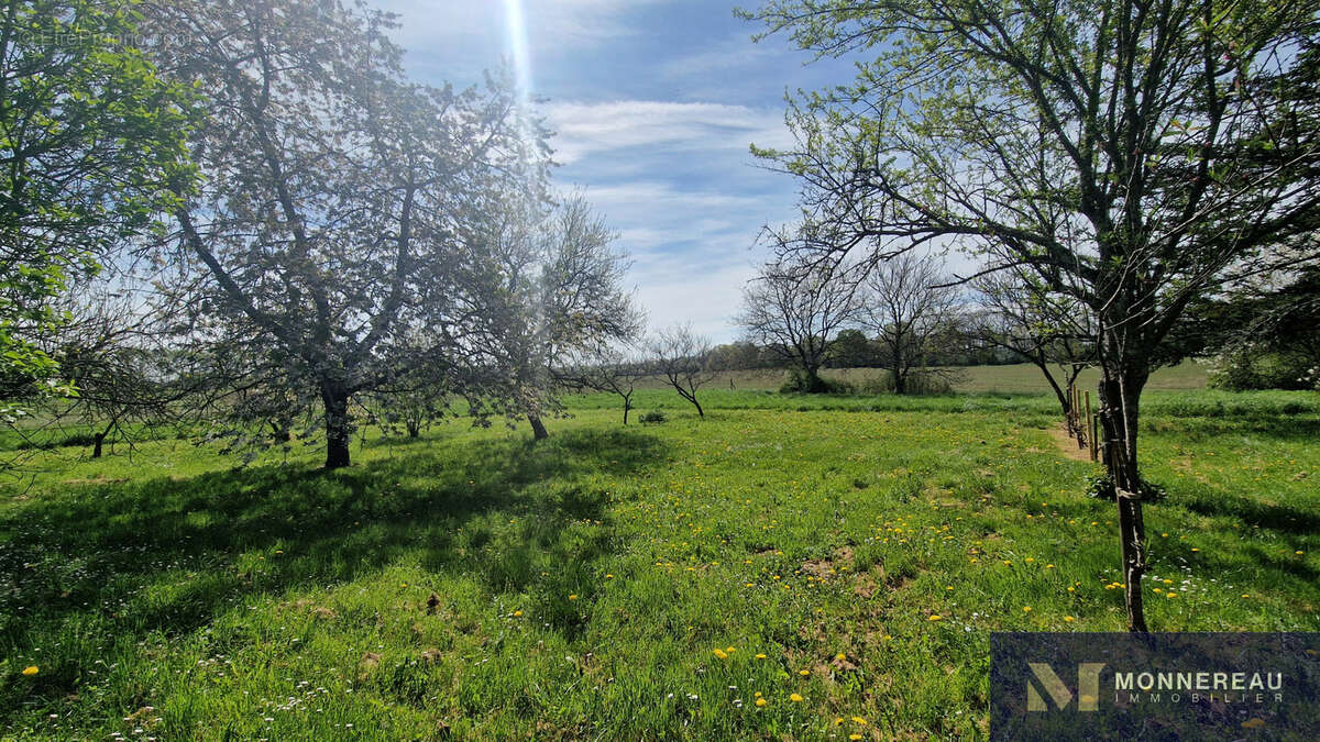 Ancienne ferme - photo 26