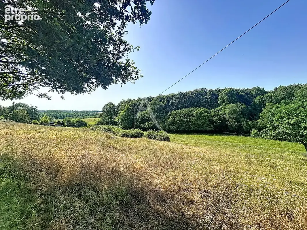Terrain Loigne Sur Mayenne 23946 m2 - photo 8