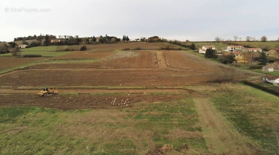 Terrain à VILLENOUVELLE