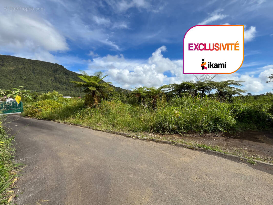 Terrain à LA PLAINE-DES-PALMISTES