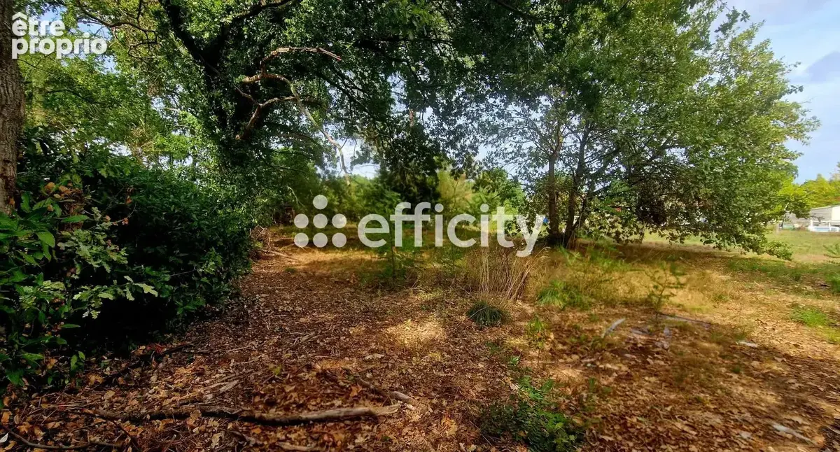 Terrain 862 m² à vendre à Lege-Cap-Ferret (33950) - photo 2