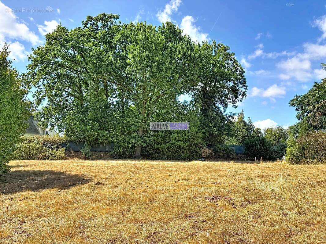 Terrain 702 m² à Vannes  - photo 2