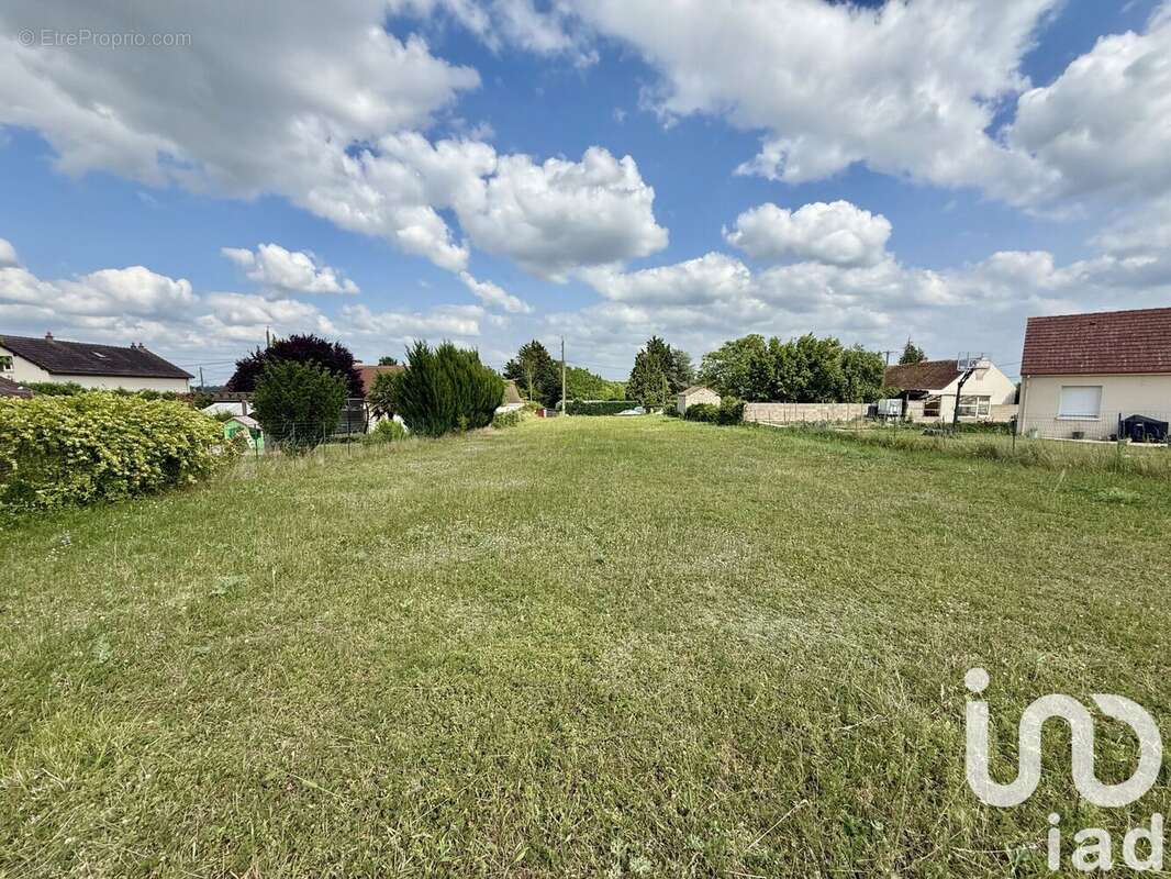 Photo 3 - Terrain à PRESSIGNY-LES-PINS