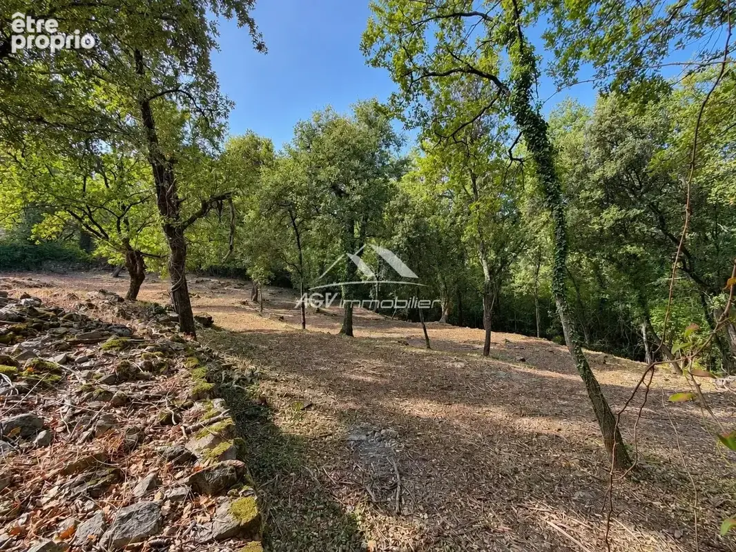 Photo Terrain à Cendras au prix de 79 000€