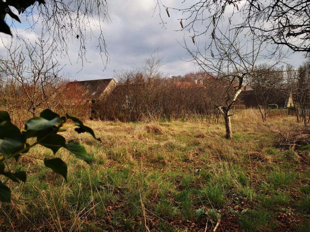 Maison à CORVOL-L&#039;ORGUEILLEUX