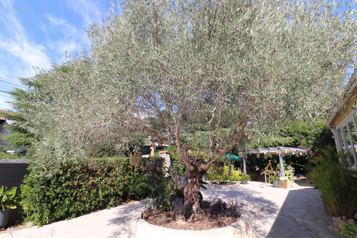 Maison à MOUGINS