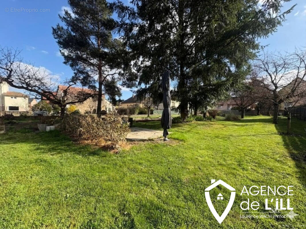 Terrain à CHATENOIS