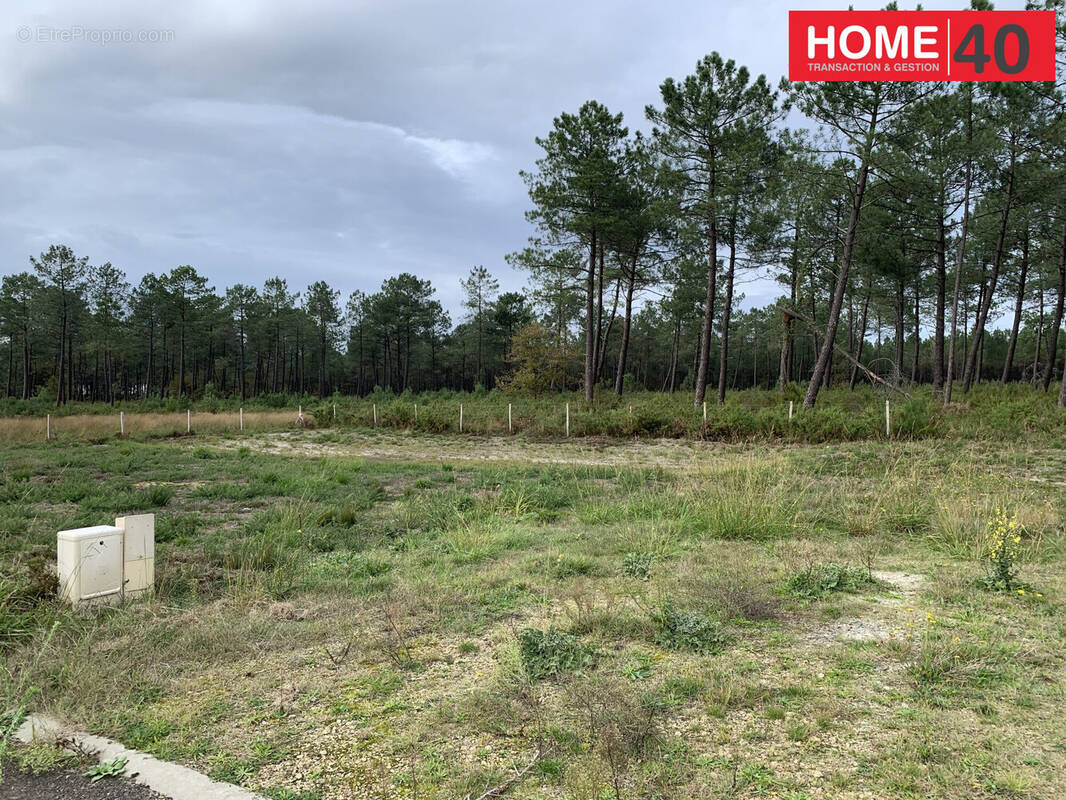 Terrain à PARENTIS-EN-BORN