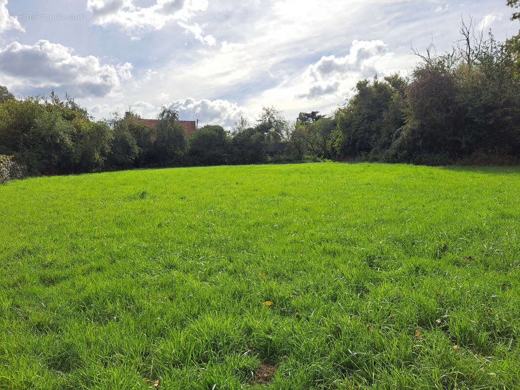 Maison à BESSE-SUR-BRAYE