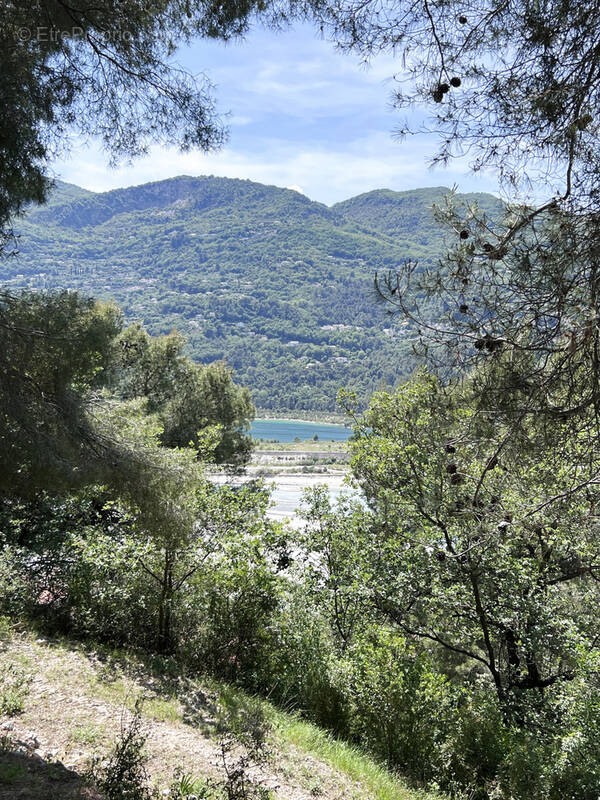 Terrain à LA ROQUETTE-SUR-VAR