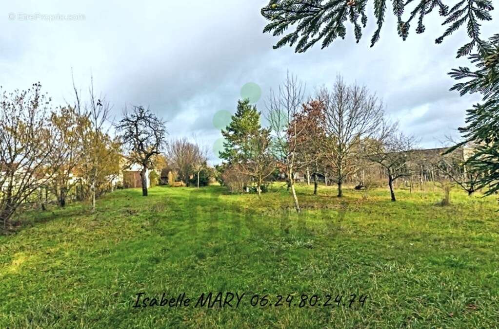 Terrain à CHABRIS