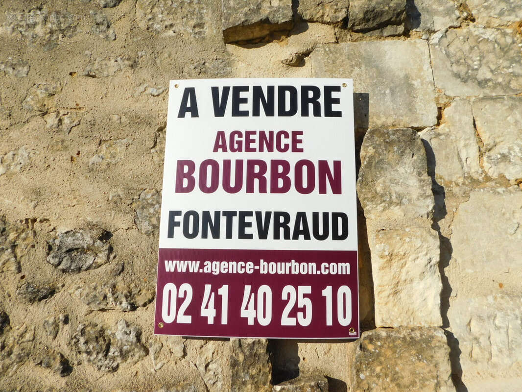 Saumur/chinon - photo 13
