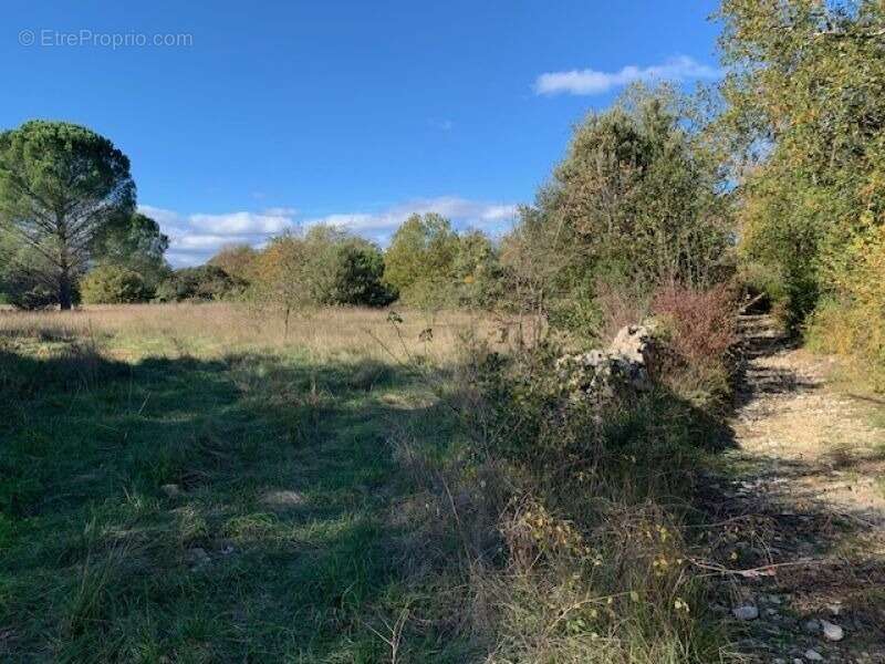 Terrain à SAUVE