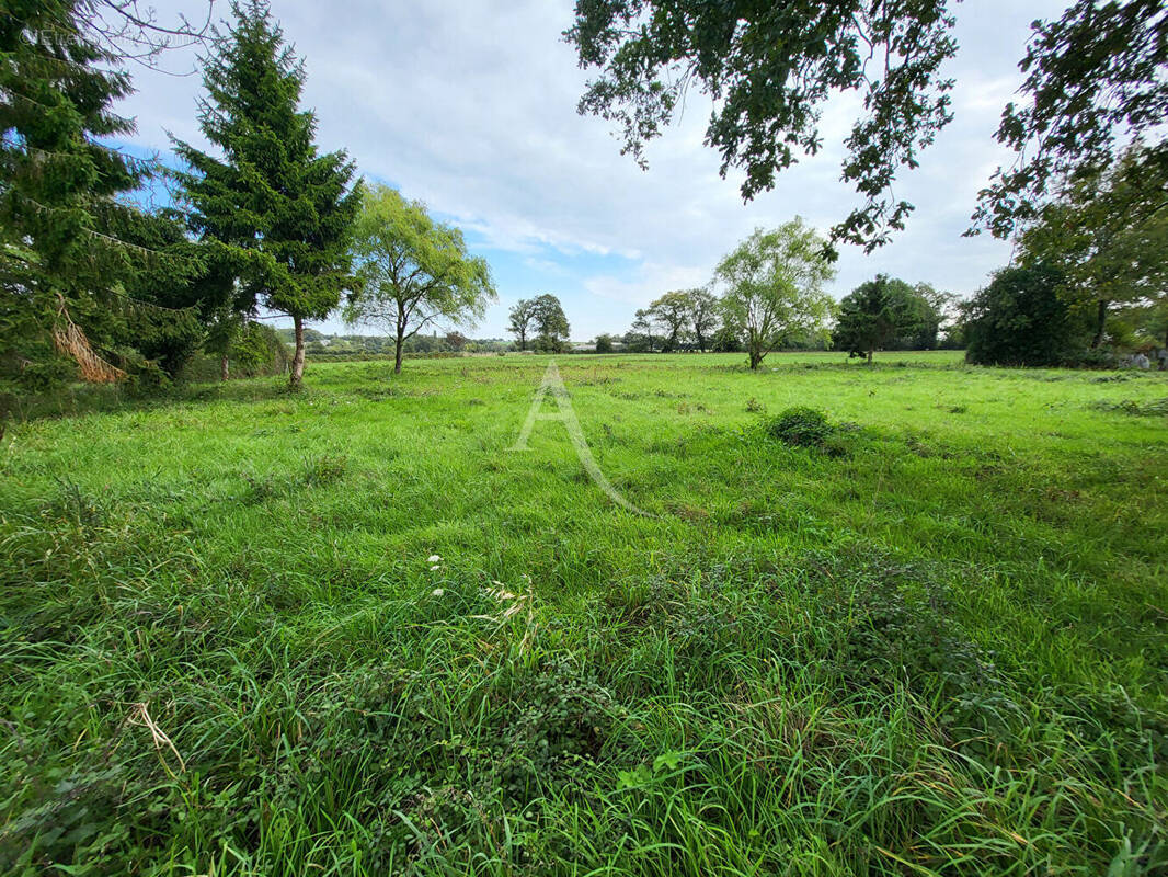 Terrain à NOZAY
