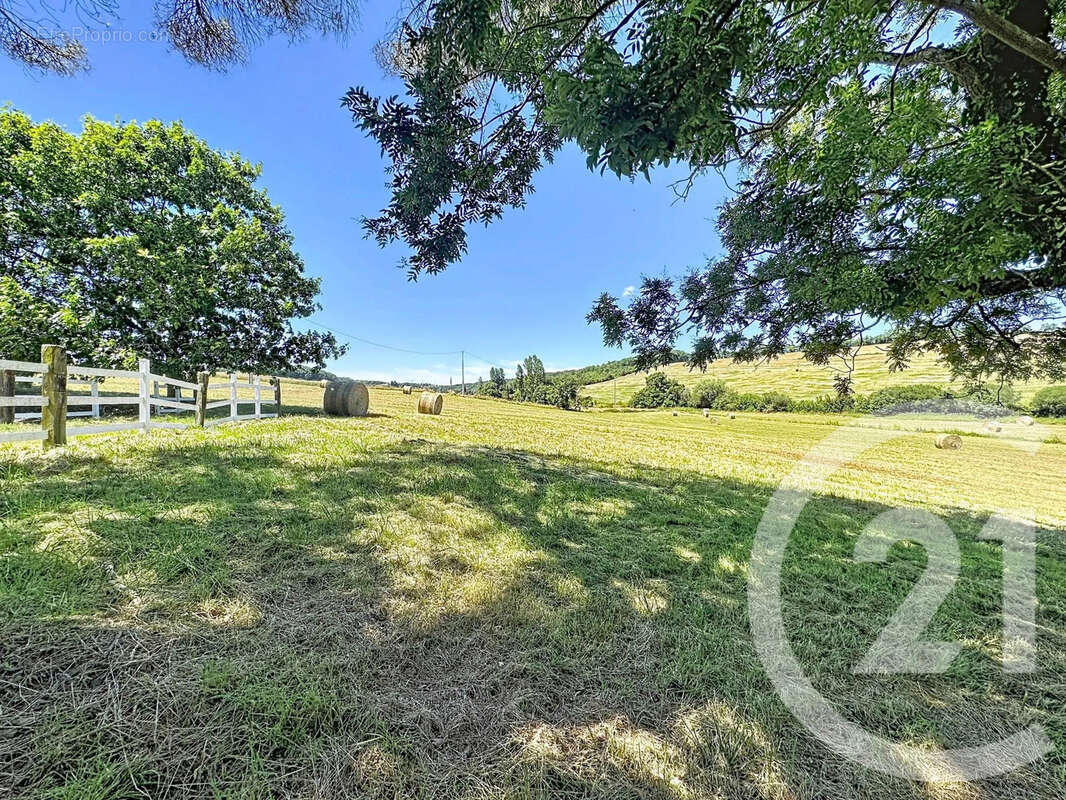 Maison 288 m² à Vic-Fezensac  - photo 2