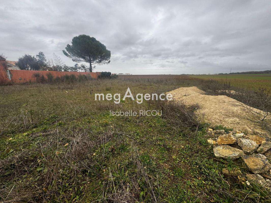 Bourgneuf (17220), terrain à bâtir de 802 m² à viabiliser - photo 3