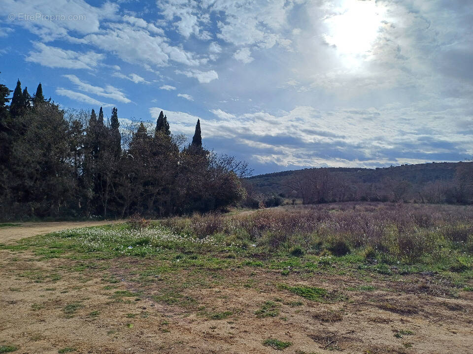 Terrain à THUIR