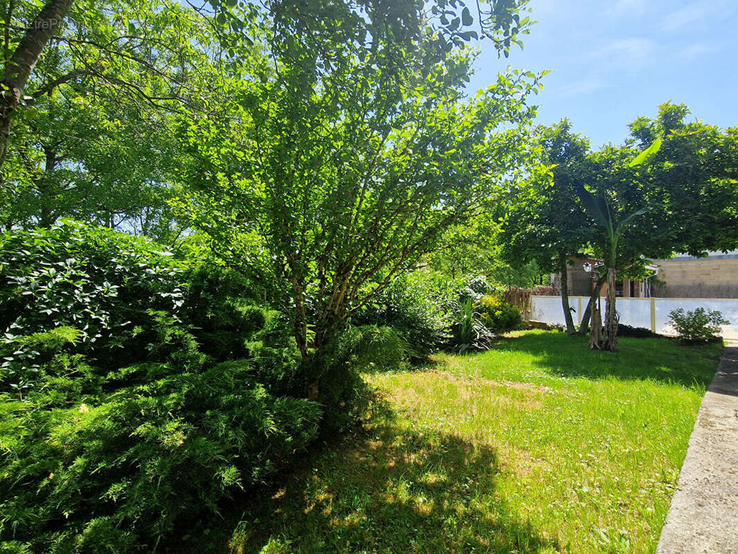Maison de plain pied avec jardin, piscine et garage - photo 11