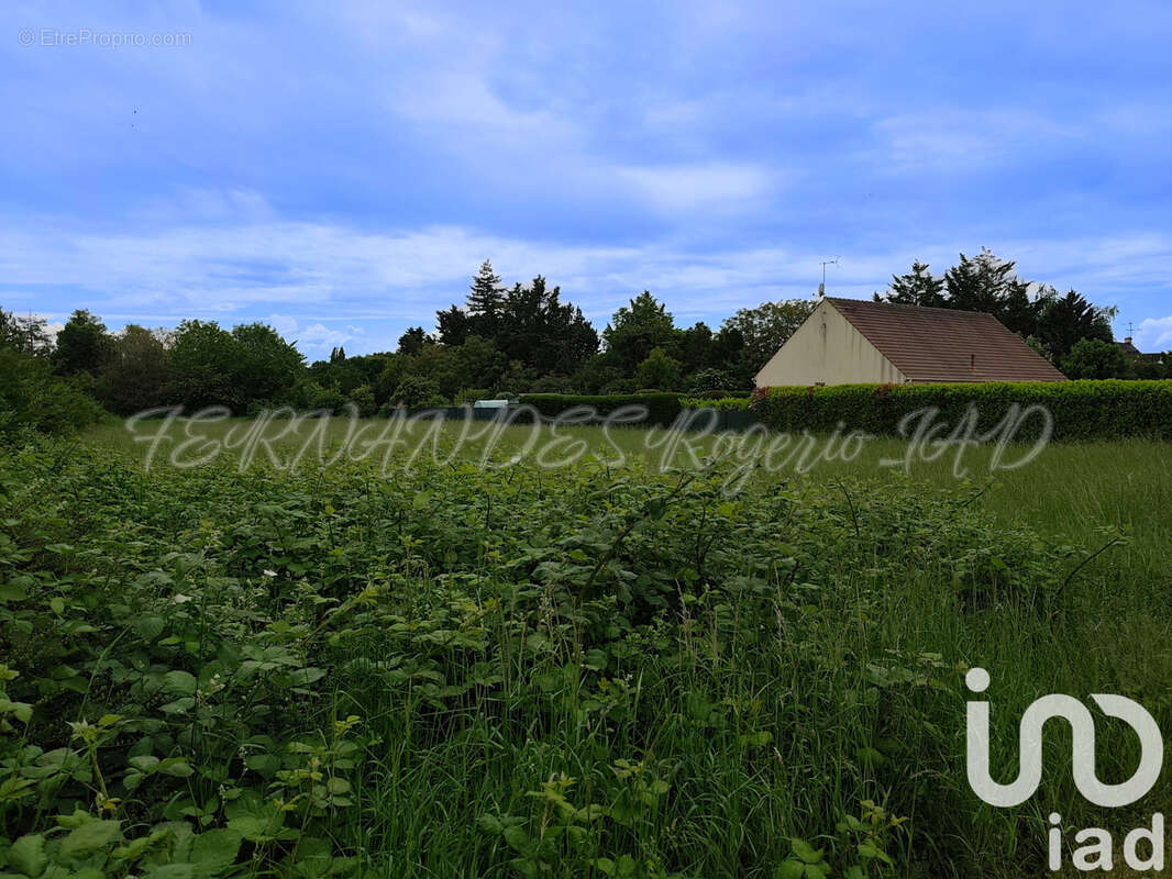 Terrain 1266 m² à Bondaroy  - photo 2