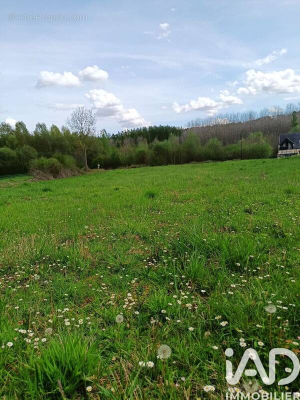 Photo 1 - Terrain à VUILLERY