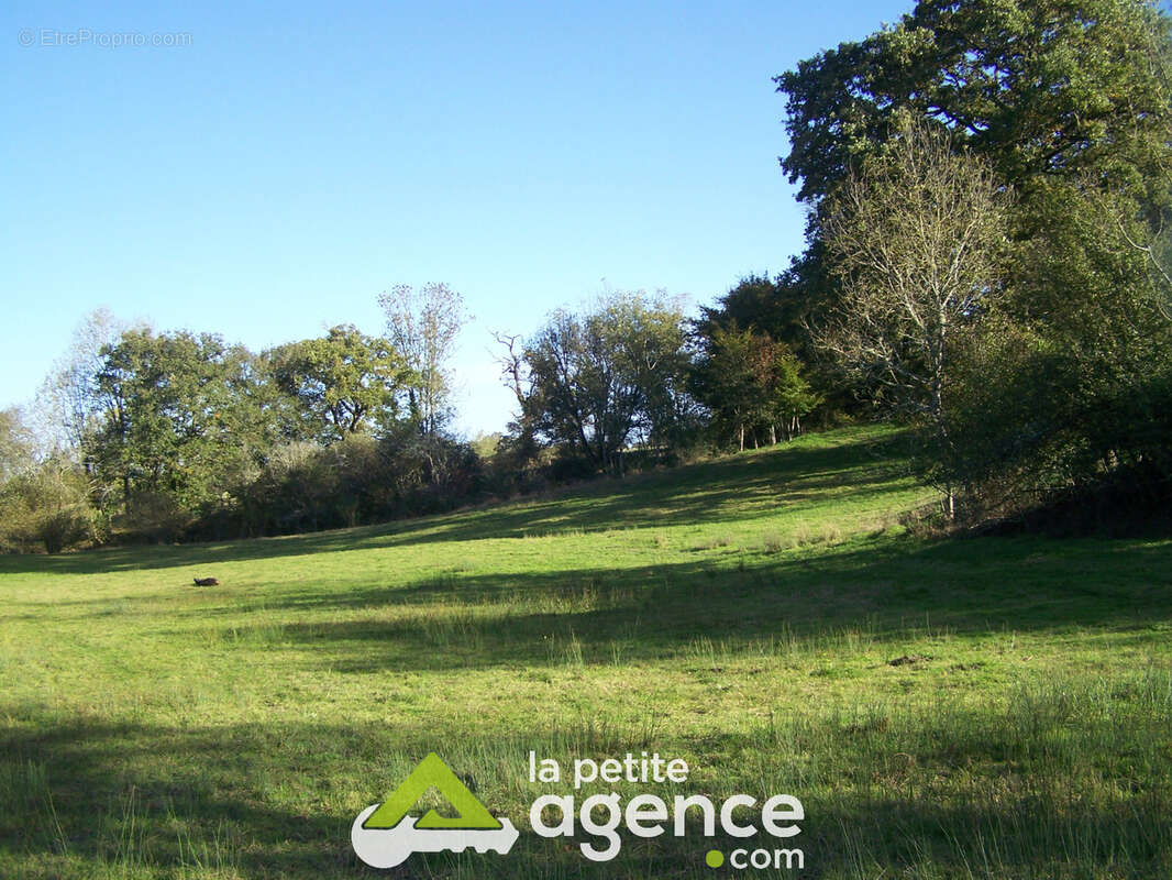Terrain à LUSSAC-LES-EGLISES