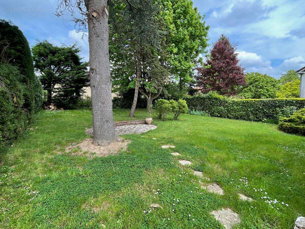 Maison à CHATEAUNEUF-SUR-LOIRE