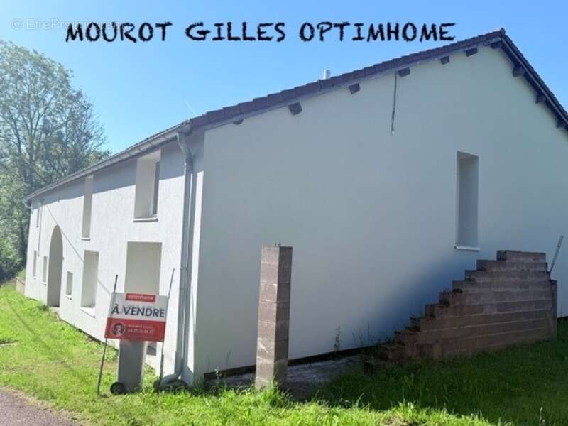 Vaste demeure de 326 m² au calme : volumes exceptionnels et potentiel unique – Proche Épinal - photo 13