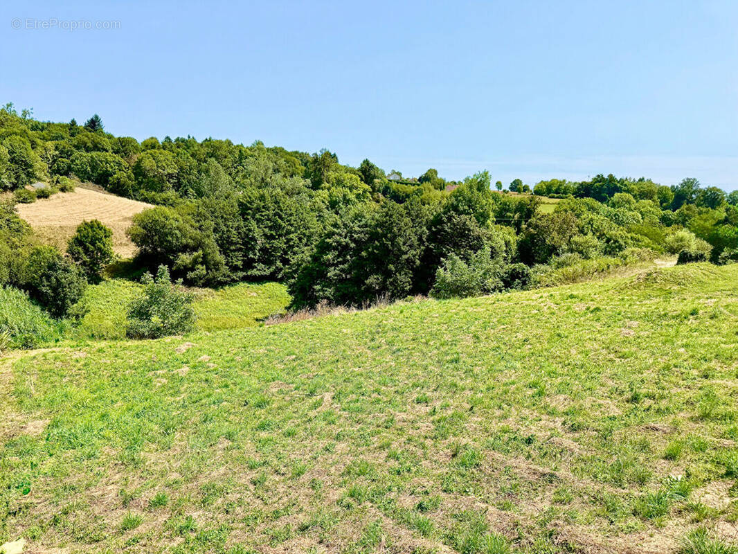 Terrain à MALEMORT-SUR-CORREZE