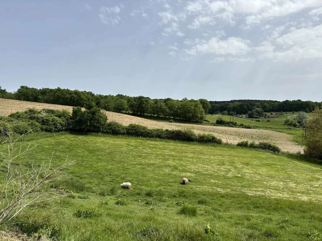 Maison à AUBETERRE-SUR-DRONNE
