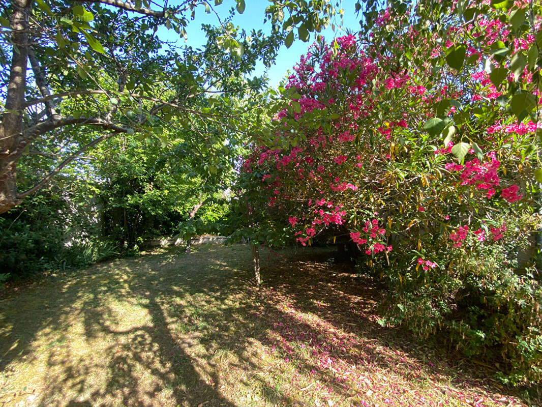 Castelnaudary, maison plain-pied T4, jardin et garage - photo 6