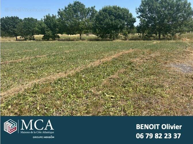 Terrain à MORNAC-SUR-SEUDRE
