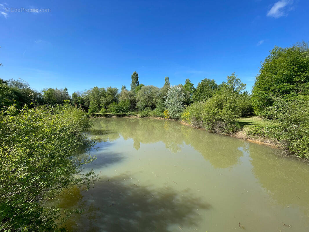 Terrain à BERUGES