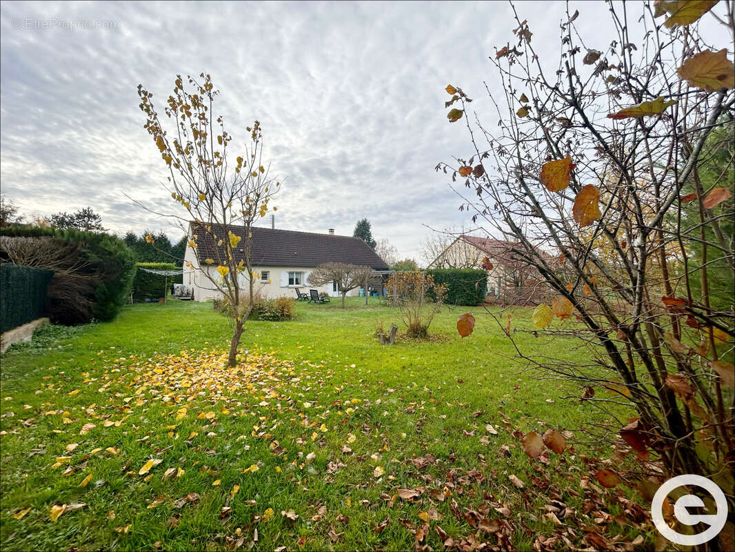Maison à AILLANT-SUR-THOLON