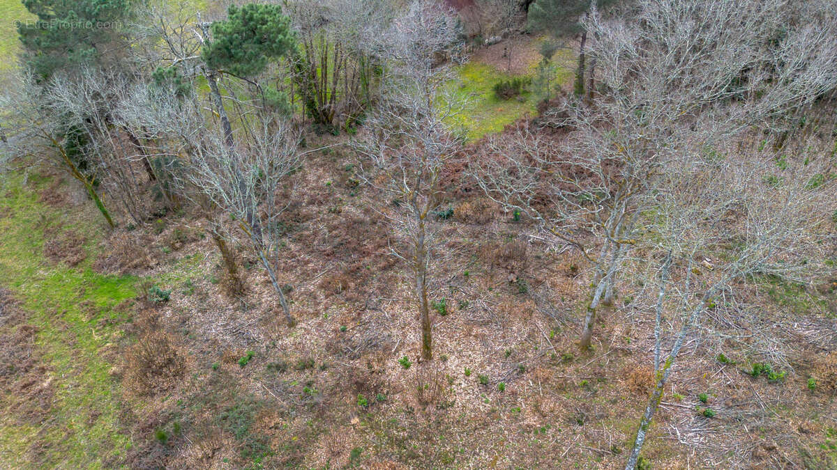 Terrain à CARSAC-AILLAC