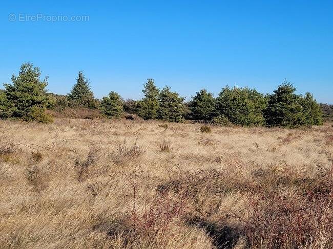 Terrain à MARQUIXANES