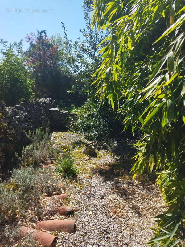 jardin non attenant - Maison à LUGAGNAC