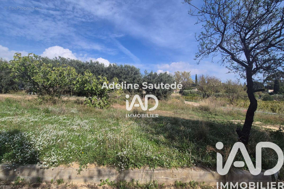 Photo 3 - Terrain à SAINT-CYR-SUR-MER